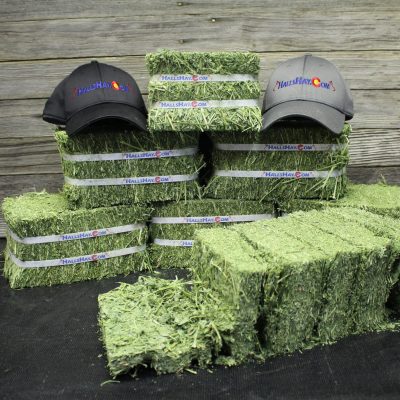 3rd Cutting Alfalfa 6 Bale Small Pet Pack
