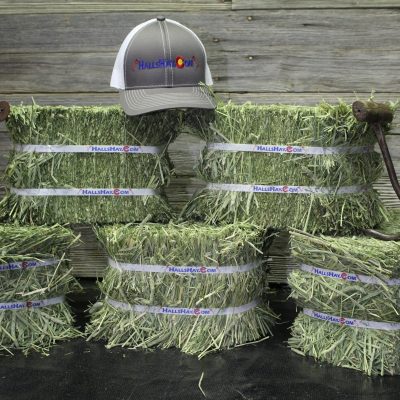 1st Cutting Timothy 4 Bale Small Pet Pack