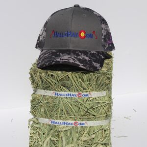 Charcoal / Black HallsHay.Com Double Mesh Back Digi-Camo Hat