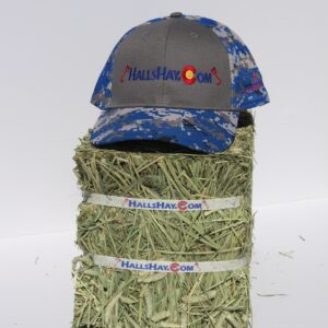Charcoal / Royal Blue HallsHay.Com Double Mesh Back Digi-Camo Hat