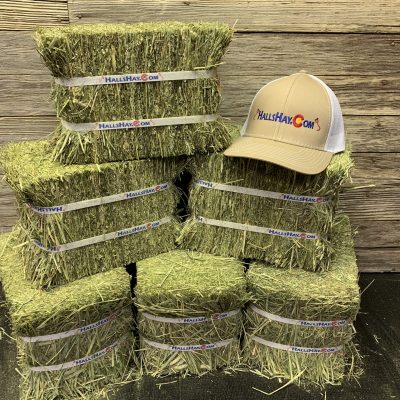 2nd Cutting Timothy 4 Bale Small Pet Pack